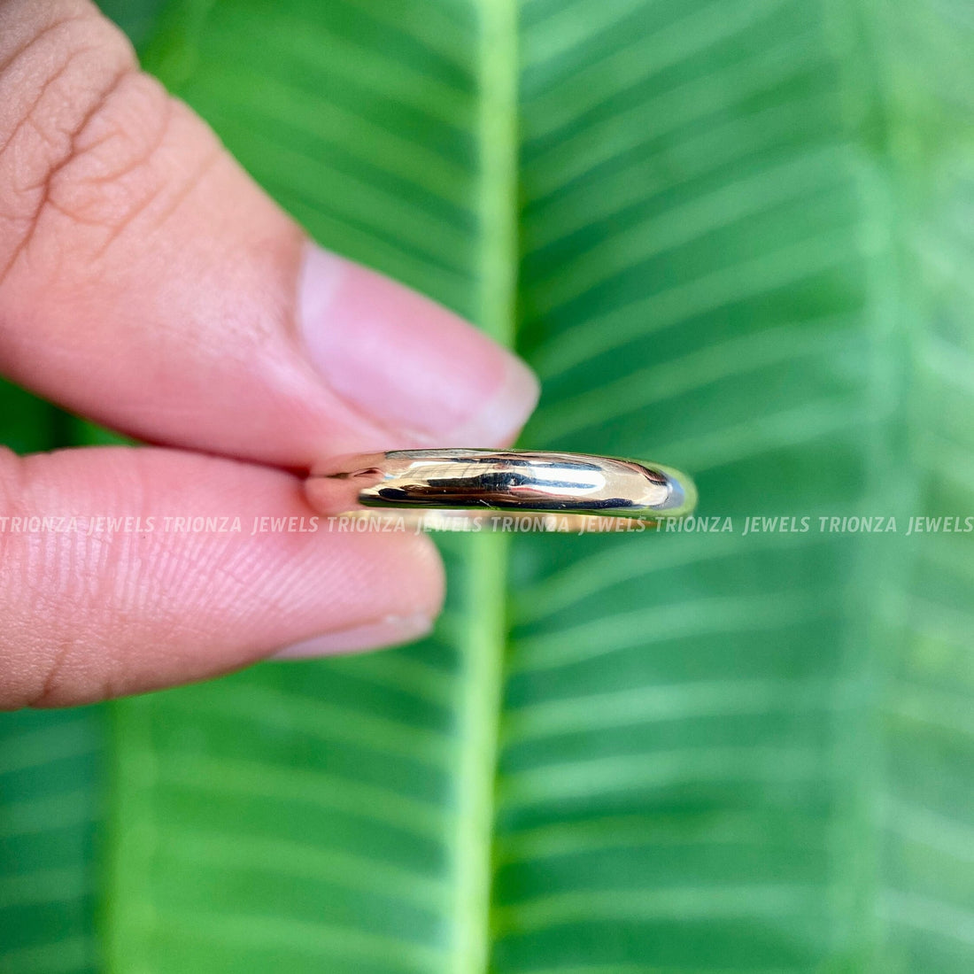 14k Solid Yellow Gold 2.5mm Dome Wedding Band for Men & Women