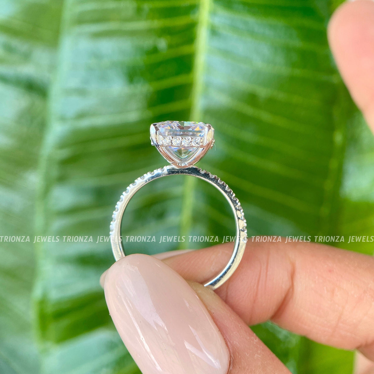 colorless moissanite jewelry