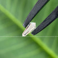 Close-up of the shield diamond highlighting its VVS/VS clarity and precise faceting