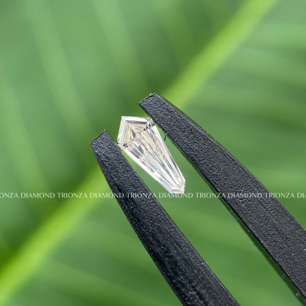 Shield cut lab grown diamond displayed to showcase its fancy shape and D-E white color