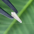 Loose shield diamond placed on a reflective surface to showcase its clarity and brilliance