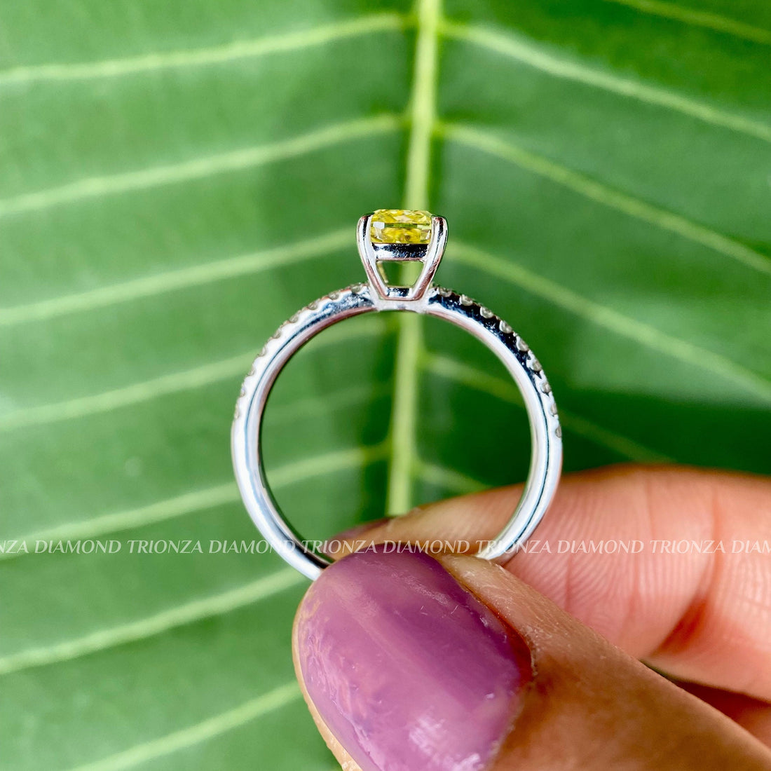 1CT Vivid Yellow Cushion Lab Diamond Ring | IGI Cert 14K White Gold