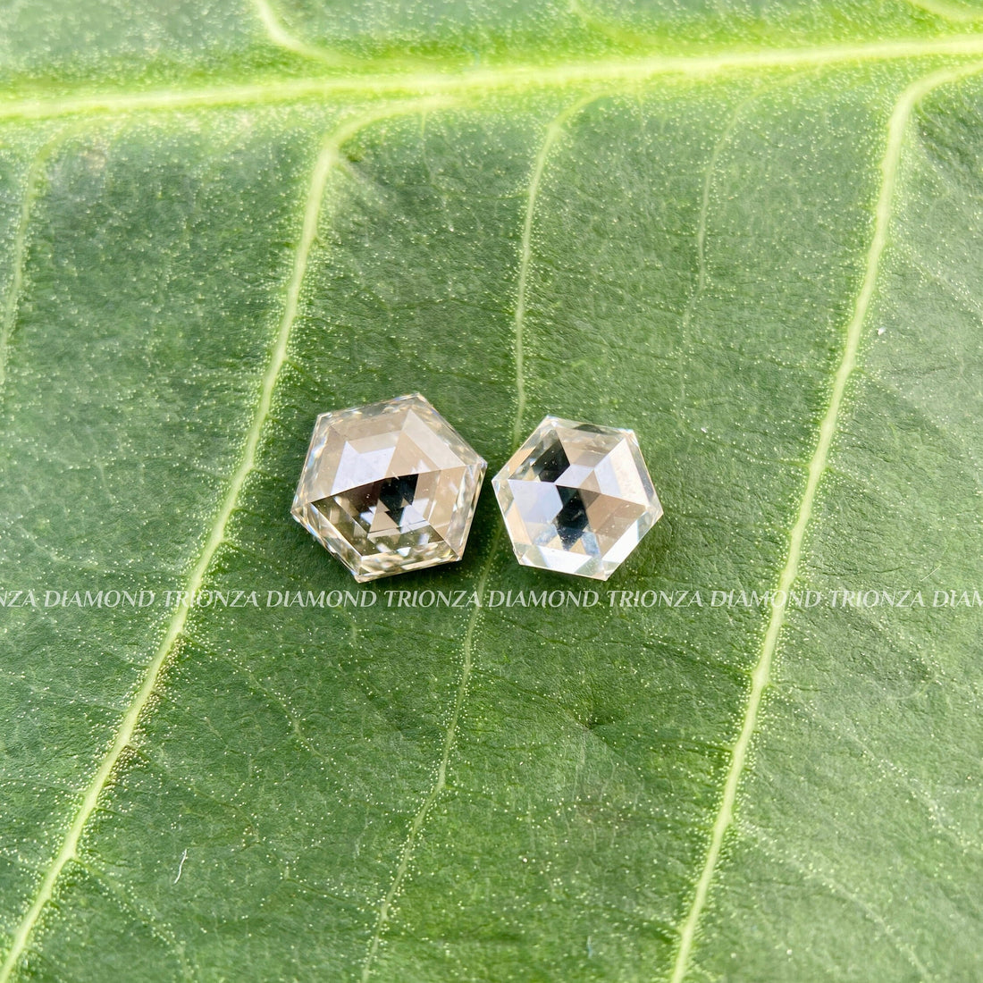 Lab Grown Hexagon Diamond F-G VS | 0.70 & 1 CT Loose for Ring
