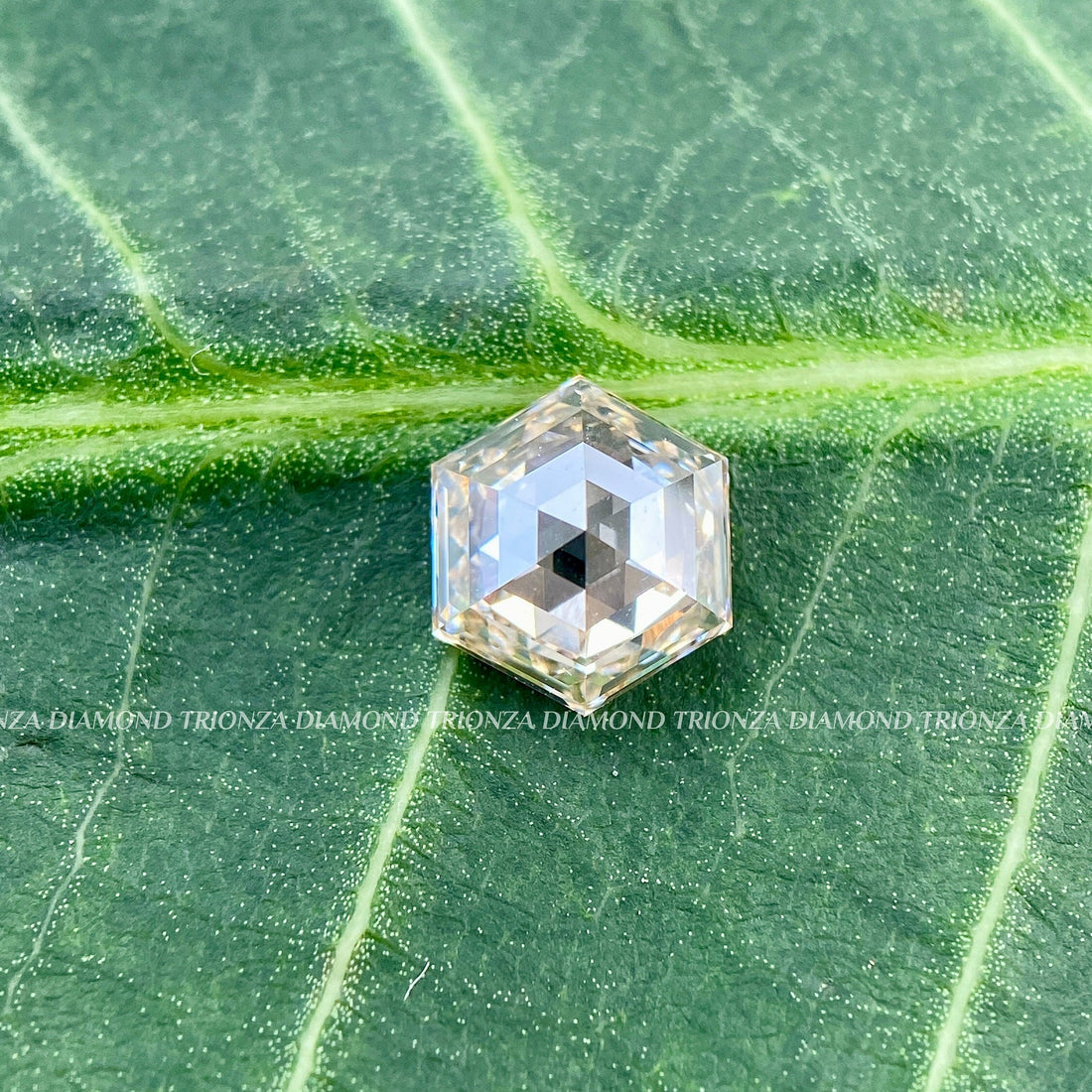 Hexagon F/VS Lab Grown Diamond 1.05 CT - Engagement & Wedding Ring