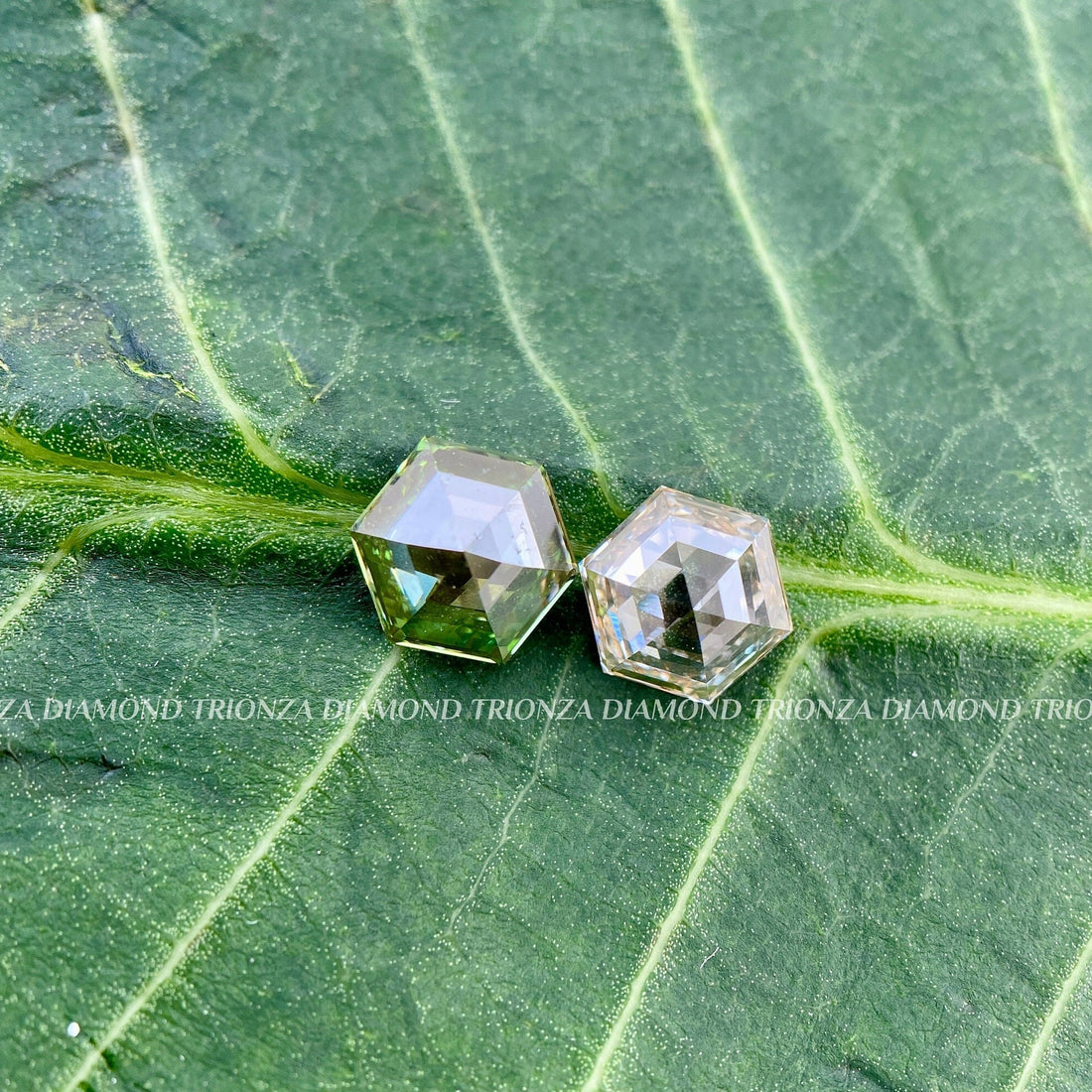 Pair 1 CT Hexagon Lab Grown Diamonds | Green & Colorless VS