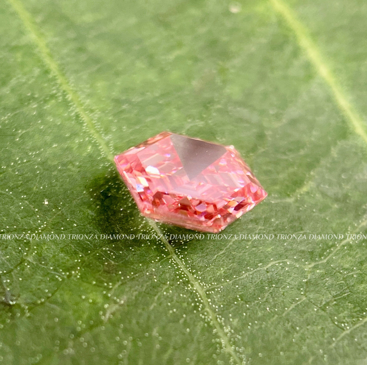 Fancy cut lab grown diamond pair suited for side stone engagement ring settings