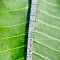Woman wearing the stackable princess cut diamond tennis bracelet on her wrist