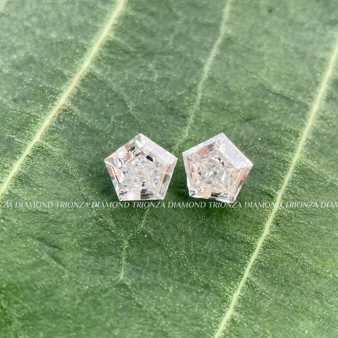 1.00 TCW F/VS Pentagon Cut Lab Grown Diamond Pair for Earrings & Rings