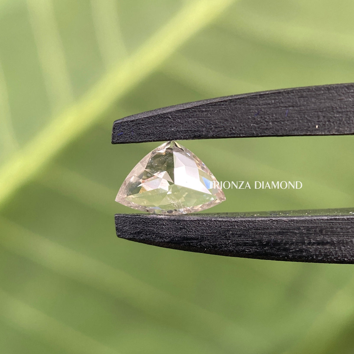 Loose trillion shape diamond positioned to highlight its fancy cut facets and brilliance