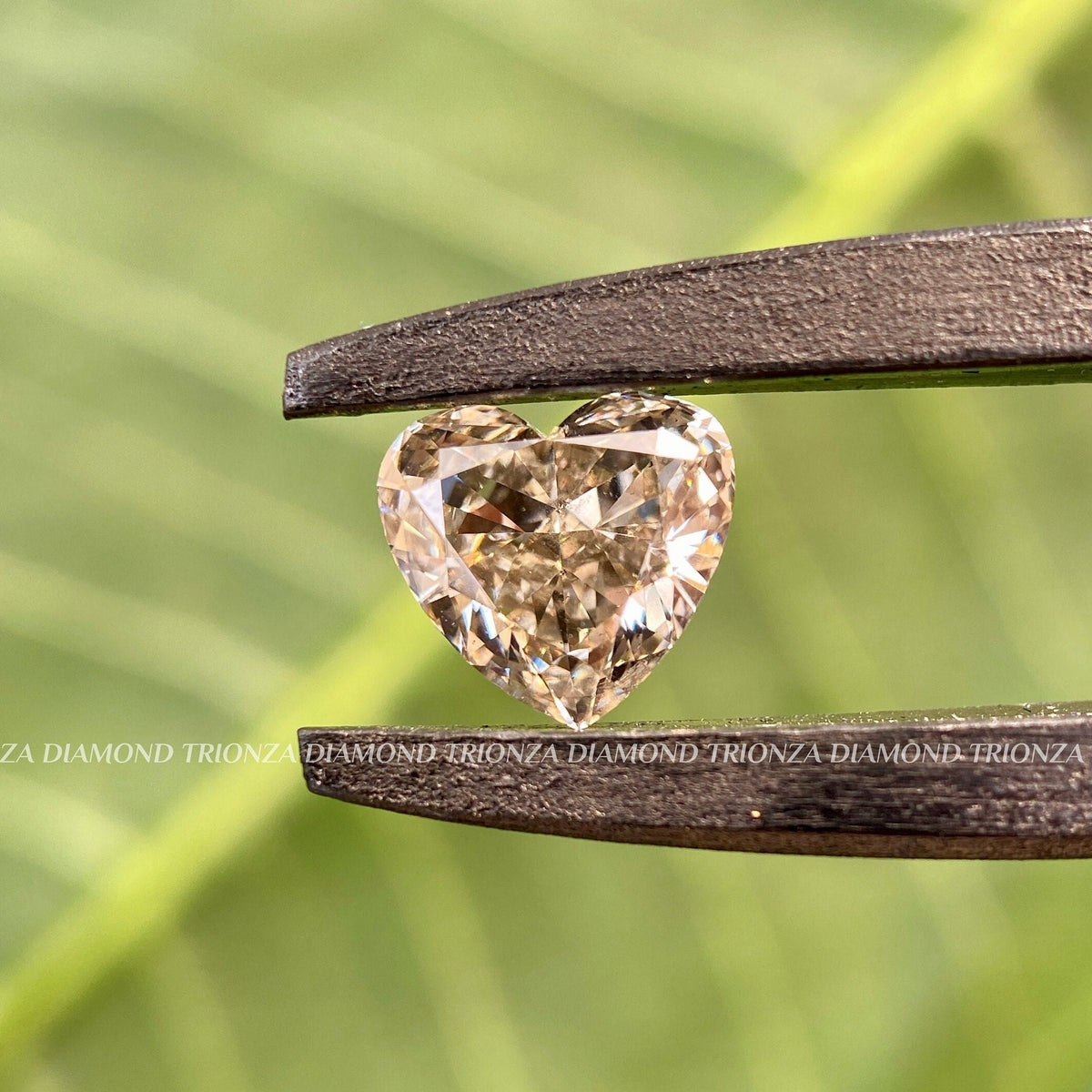 heart cut fancy brown diamond
