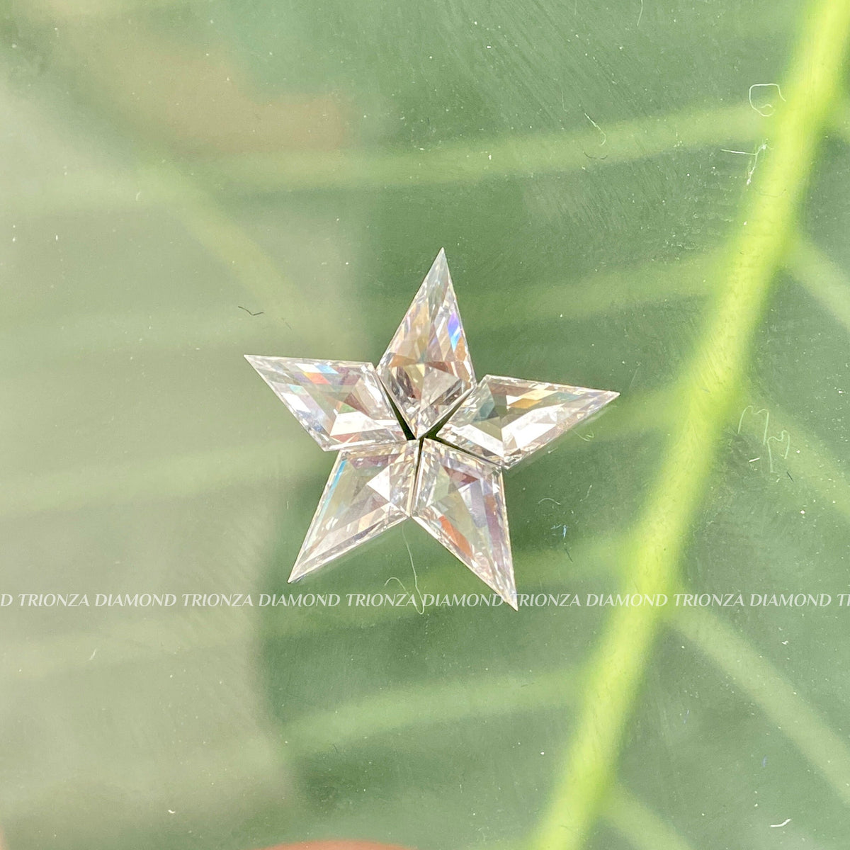 Close-up of loose kite cut diamonds highlighting their F color and VS1 clarity