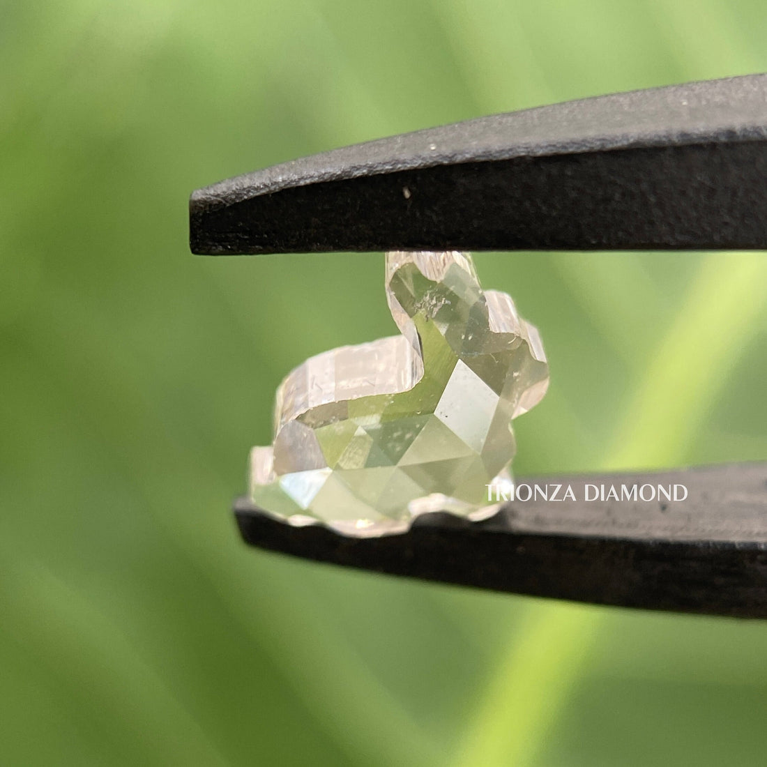 rabbit cut lab grown diamond