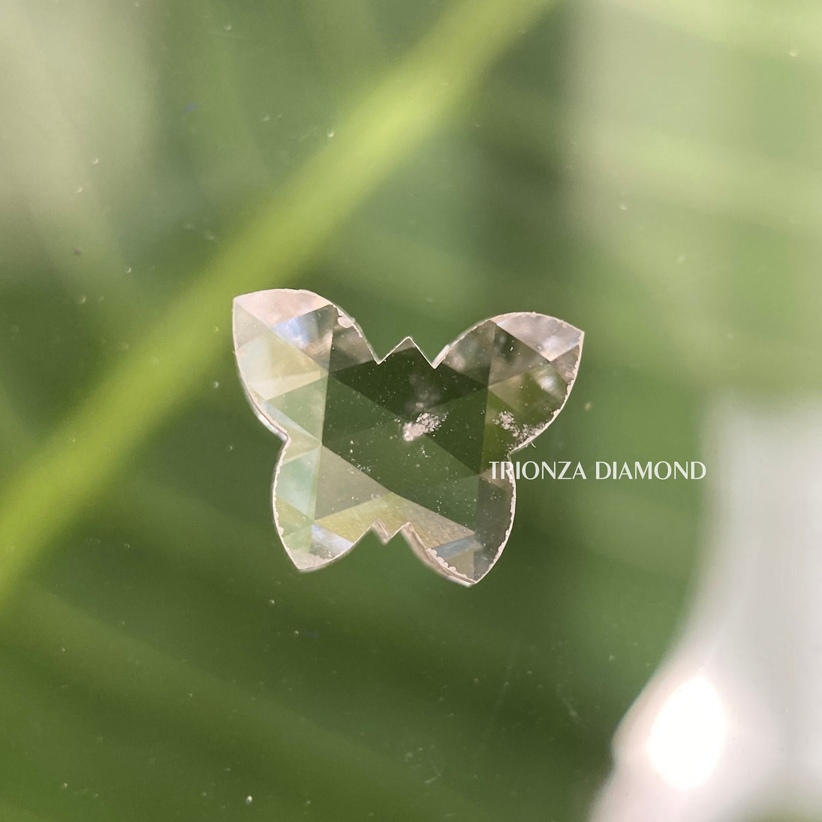 Close-up of the 0.50 CT butterfly cut diamond highlighting its F color and SI1 clarity