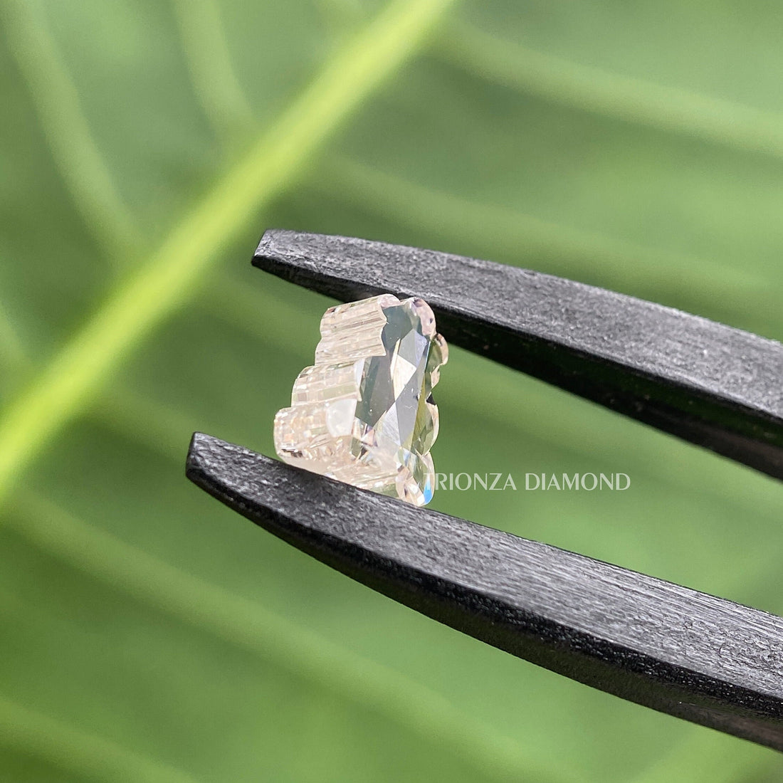 Teddy Bear Lab Grown Diamond for Engagement Rings & Jewelry