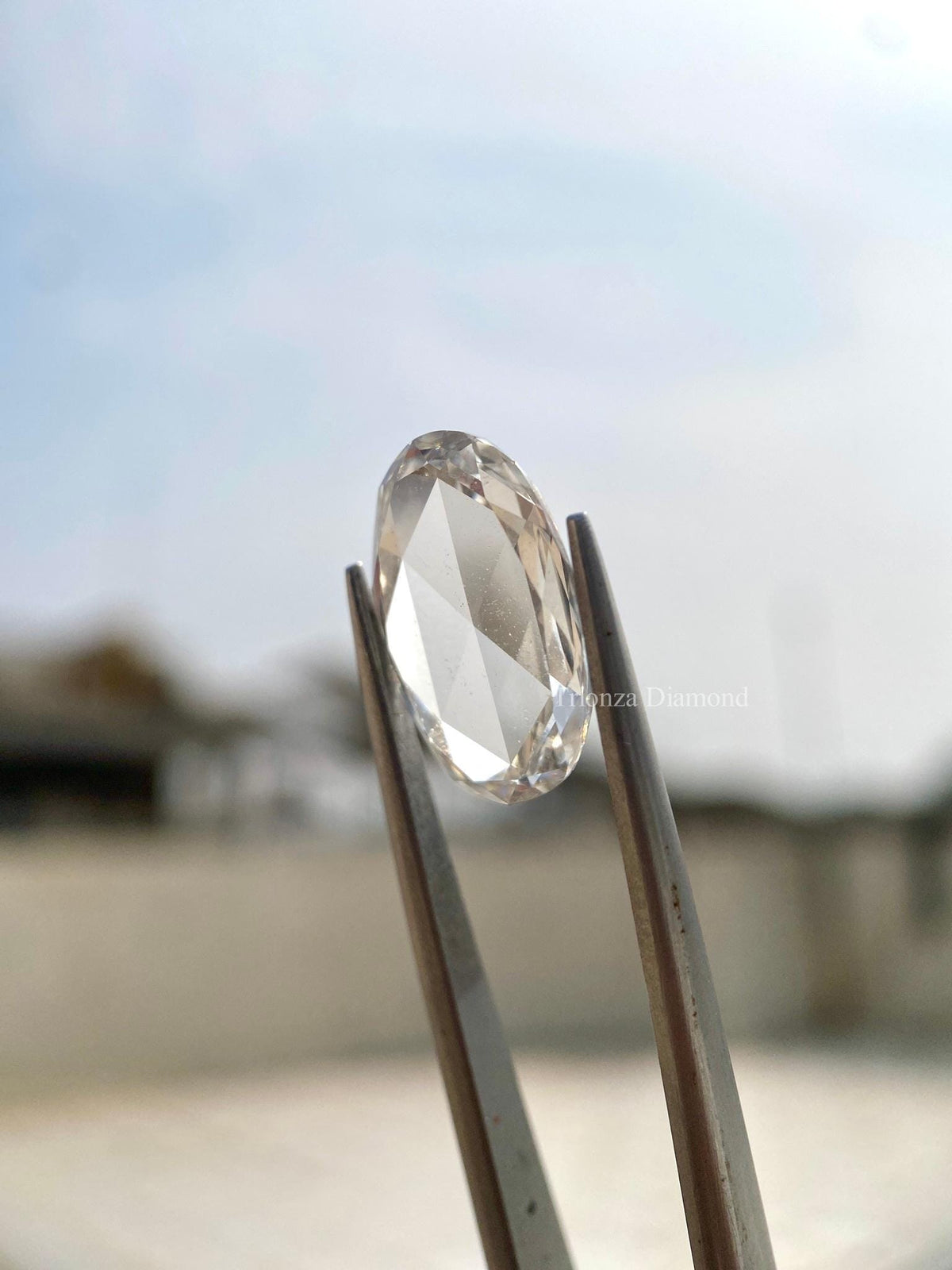 Oval rose cut diamond photographed against a contrasting background to show its brilliance