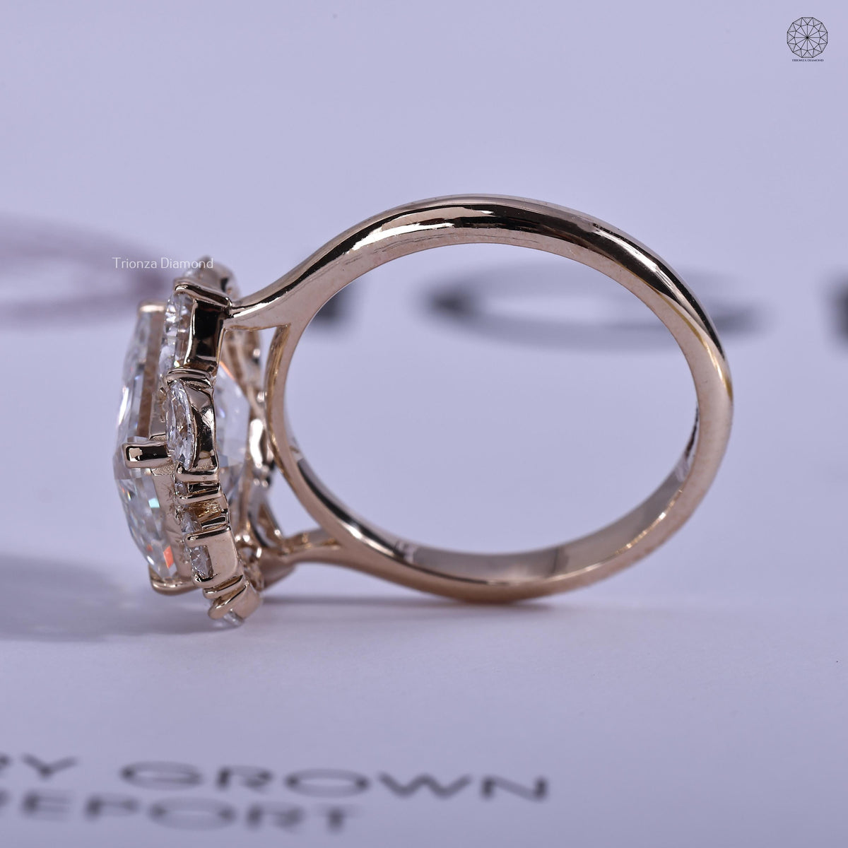 Side view of the art deco halo ring highlighting the cathedral shank details